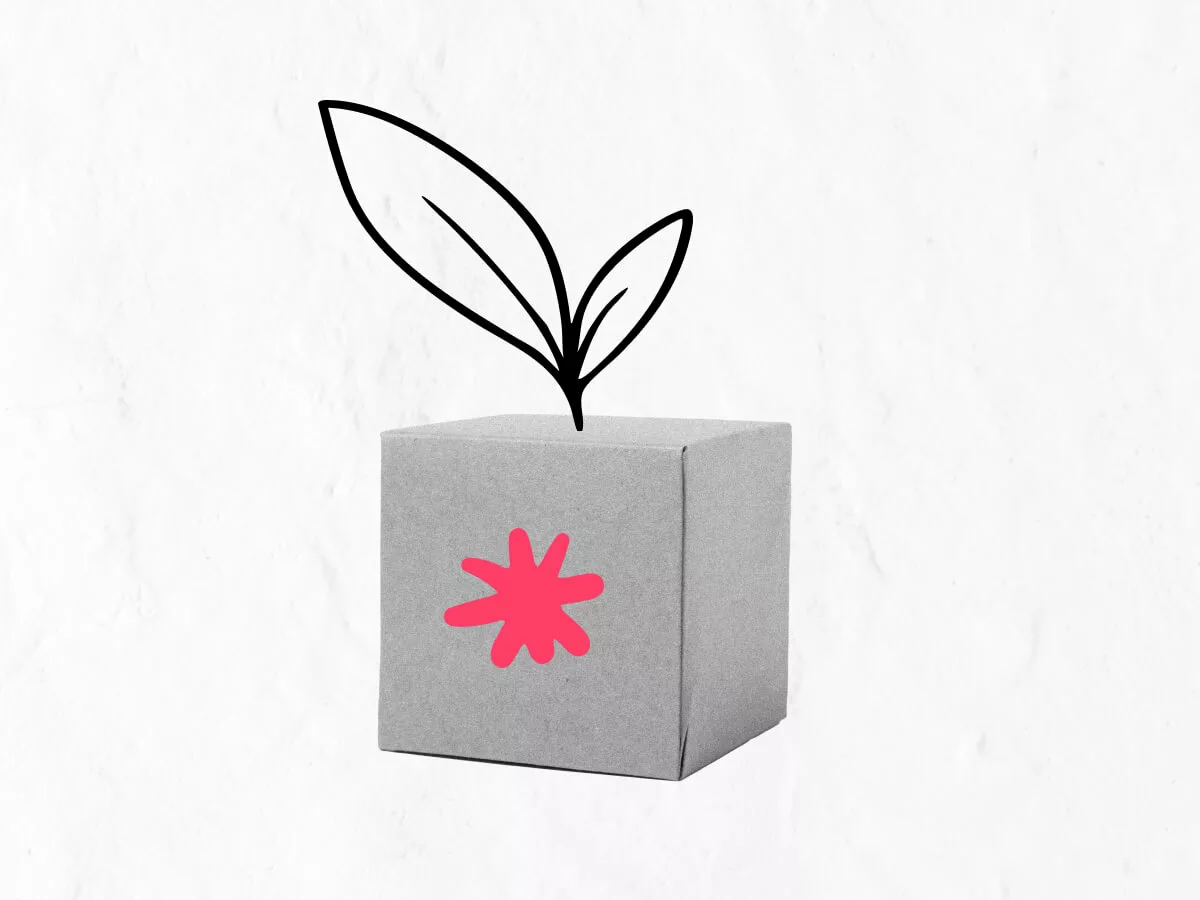 A branded packaging box with leaves over to symbolize sustainability